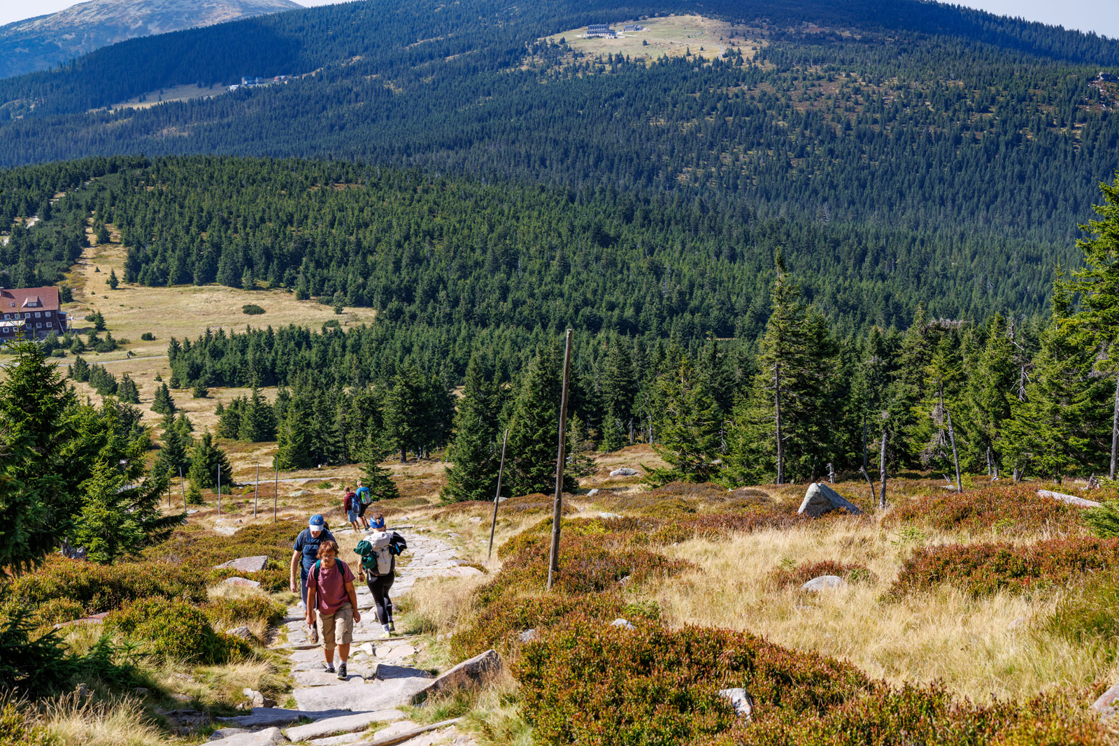 Karkonosze – dach Sudetów